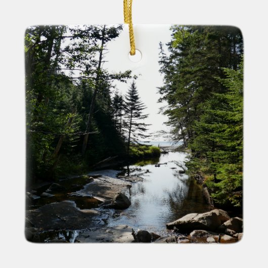 Bos in de buurt van Hunters Beach Keramisch Ornament (Voorkant)