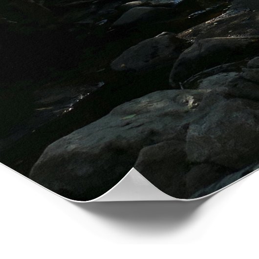 Bos in de buurt van Hunters Beach Poster (Hoek)