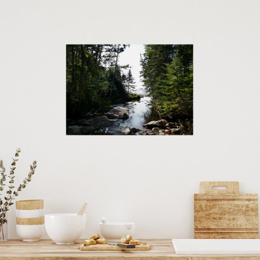 Bos in de buurt van Hunters Beach Poster (Keuken)