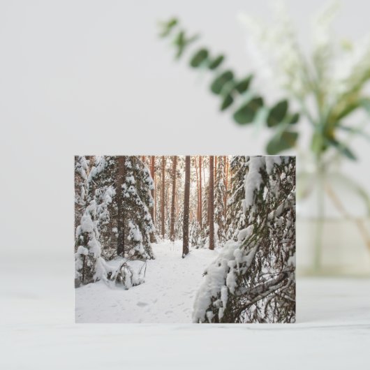 bos in de winter briefkaart (Staand voorkant)