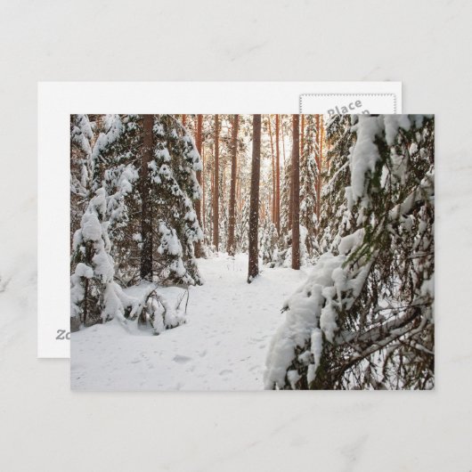 bos in de winter briefkaart (Voorkant / Achterkant)