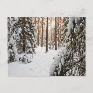 bos in de winter briefkaart