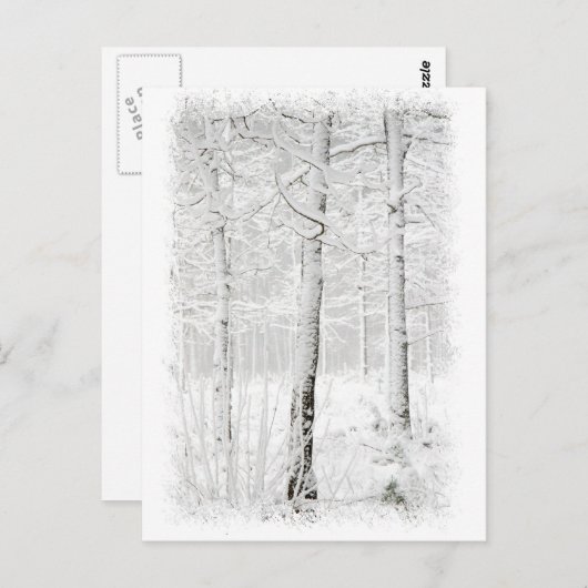 bos in de winter briefkaart (Voorkant / Achterkant)