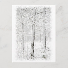 bos in de winter briefkaart