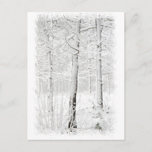 bos in de winter briefkaart (Voorkant)