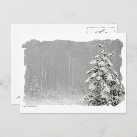 bos in de winter briefkaart (Voorkant / Achterkant)