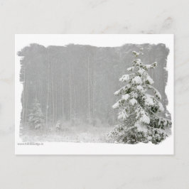 bos in de winter briefkaart