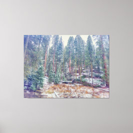 Bos in de winter canvas afdruk