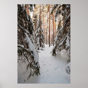 bos in de winter poster