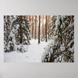 bos in de winter poster