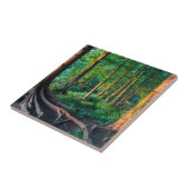 Bos in de zomer tegeltje (Zijkant)