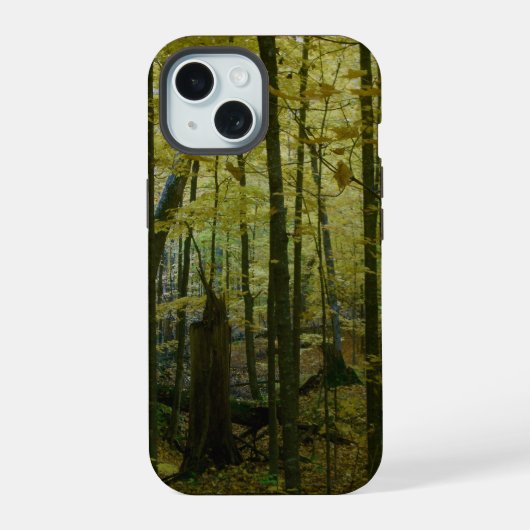 Bos in Herfst Verandering iPhone 15 Case (Achterkant)