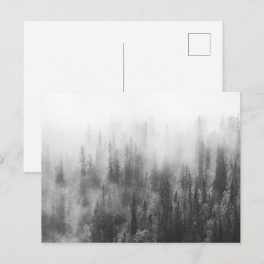 bos in mist briefkaart (Voorkant / Achterkant)