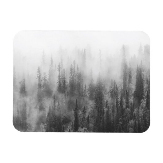 bos in mist magneet (Horizontaal)