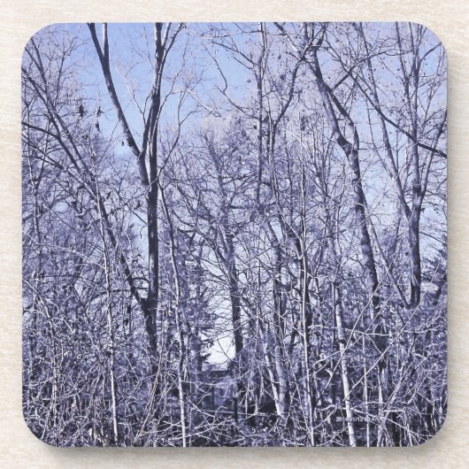 Bos in Twilight Bier Onderzetter (Voorkant)