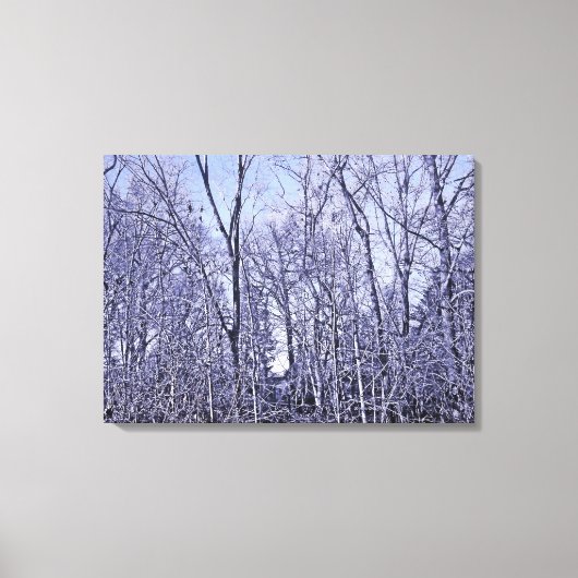 Bos in Twilight Canvas Afdruk (Voorkant)