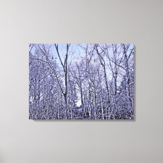 Bos in Twilight Canvas Afdruk (Voorkant)