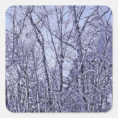 Bos in Twilight Vierkante Sticker (Voorkant)