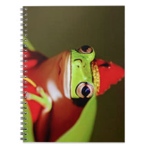 Bos Koninklijk- Spiraal Foto Notitieboek