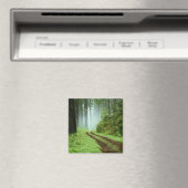 Bos Magneet (Insitu (Vaatwasser))