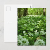 Bos met Daslook Briefkaart (Voorkant / Achterkant)