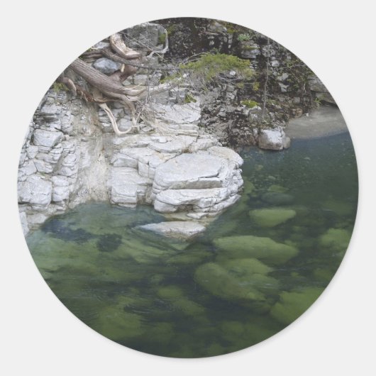 BOS MOTIVATIE STICKERS (Voorkant)