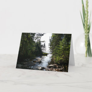 Bos nabij Hunters Beach in Acadia National Park Kaart