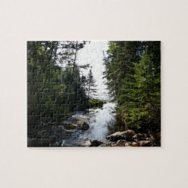 Bos nabij Hunters Beach in Acadia National Park Legpuzzel