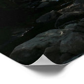 Bos nabij Hunters Beach in Acadia National Park Poster (Hoek)