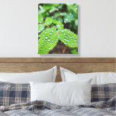 Bos Natuur Canvas Afdruk (Insitu (Slaapkamer))