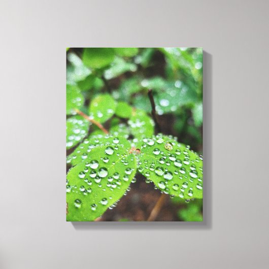 Bos Natuur Canvas Afdruk (Voorkant)