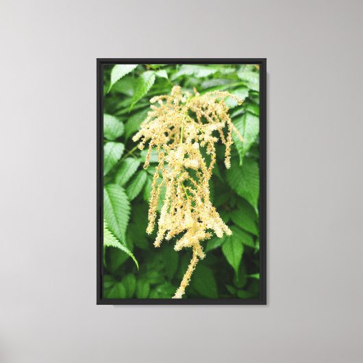 Bos Natuur Canvas Afdruk (Voorkant)