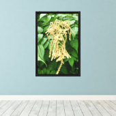 Bos Natuur Canvas Afdruk (Insitu (Houten vloer))