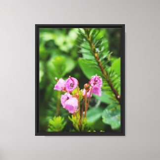 Bos Natuur Canvas Afdruk