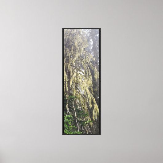 Bos Natuur Canvas Afdruk (Voorkant)