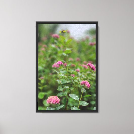 Bos Natuur Canvas Afdruk (Voorkant)