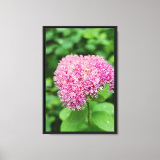 Bos Natuur Canvas Afdruk (Voorkant)