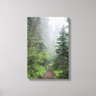 Bos Natuur Canvas Afdruk