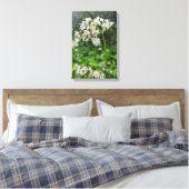 Bos Natuur Canvas Afdruk (Insitu (Slaapkamer))