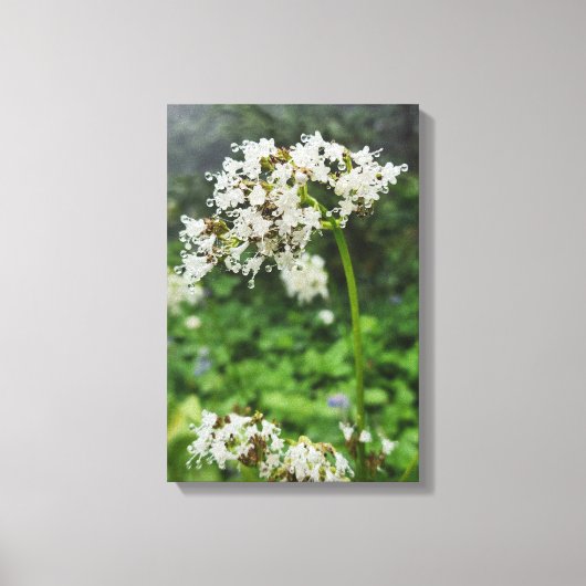 Bos Natuur Canvas Afdruk (Voorkant)