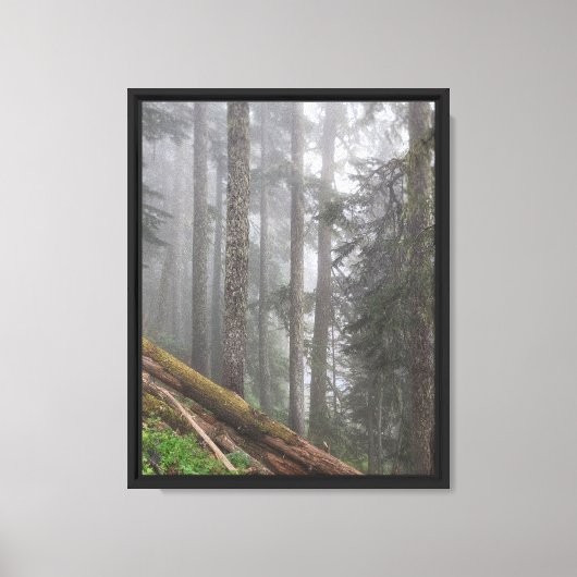 Bos Natuur Canvas Afdruk (Voorkant)
