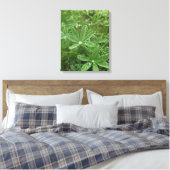 Bos Natuur Canvas Afdruk (Insitu (Slaapkamer))