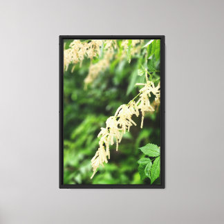 Bos Natuur Canvas Afdruk