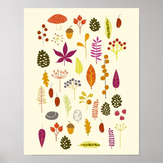 Bos Natuur Poster (Voorkant)