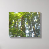 Bos natuurfoto canvas afdruk (Voorkant)