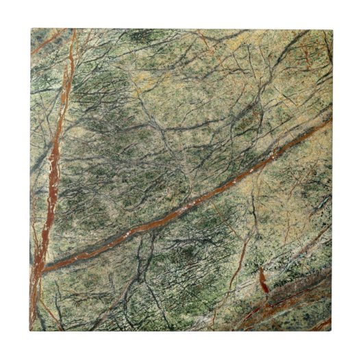 Bos Oerwoud Tegeltje (Voorkant)