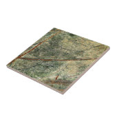 Bos Oerwoud Tegeltje (Zijkant)