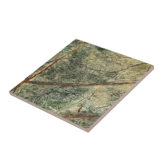 Bos Oerwoud Tegeltje (Zijkant)