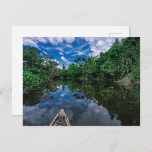 Bos | Oerwoud van Peru Briefkaart (Voorkant / Achterkant)