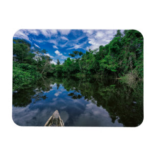 Bos   Oerwoud van Peru Magneet